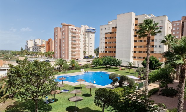 Apartment - zum Verkauf - Guardamar Del Segura - CSPG-36314