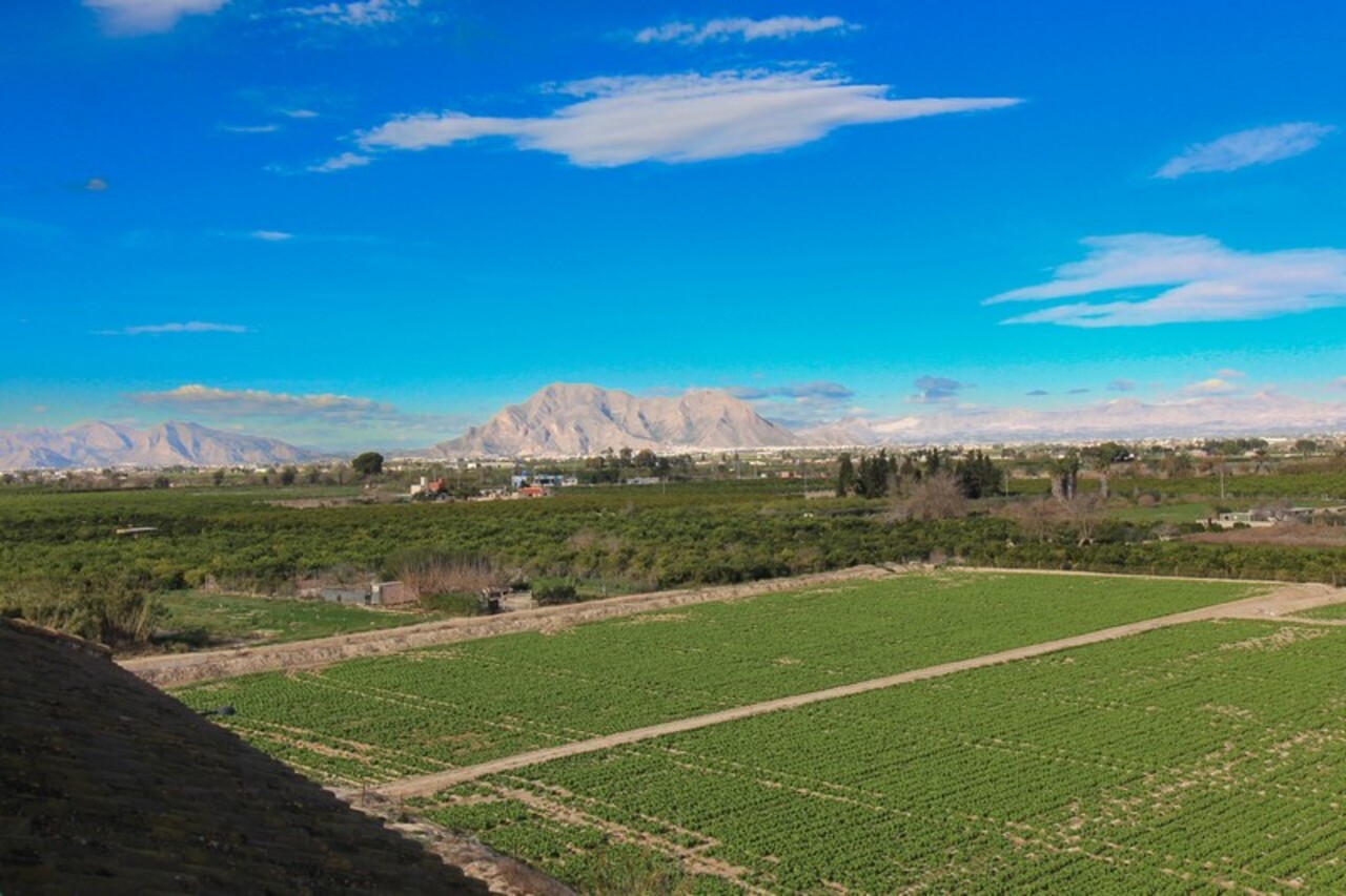 Apartment in Algorfa - Image 3