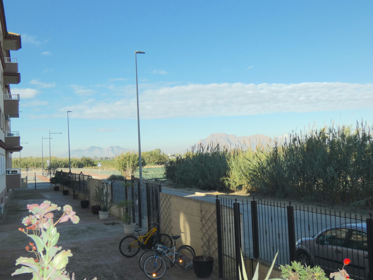 Apartment in Algorfa - Image 5