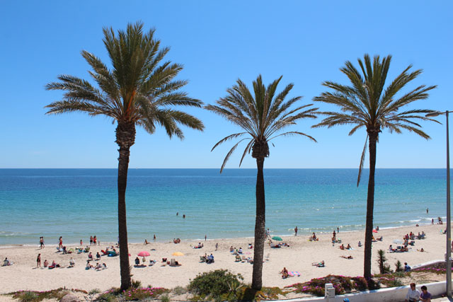 Apartment in Mil Palmeras - Image 5