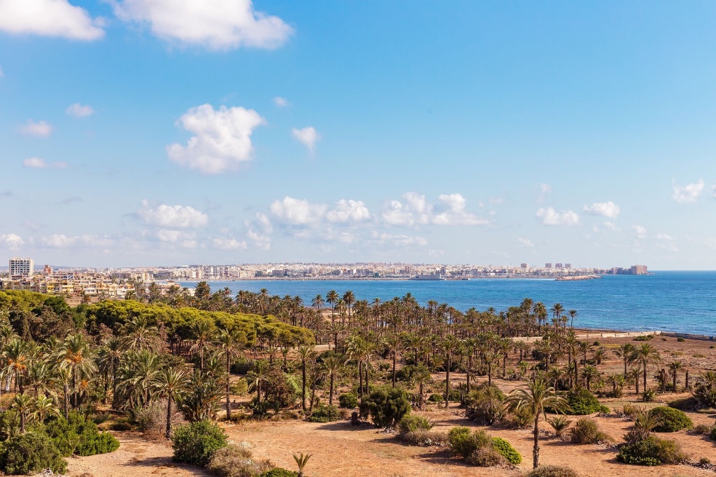 Apartment in Punta Prima - view 1