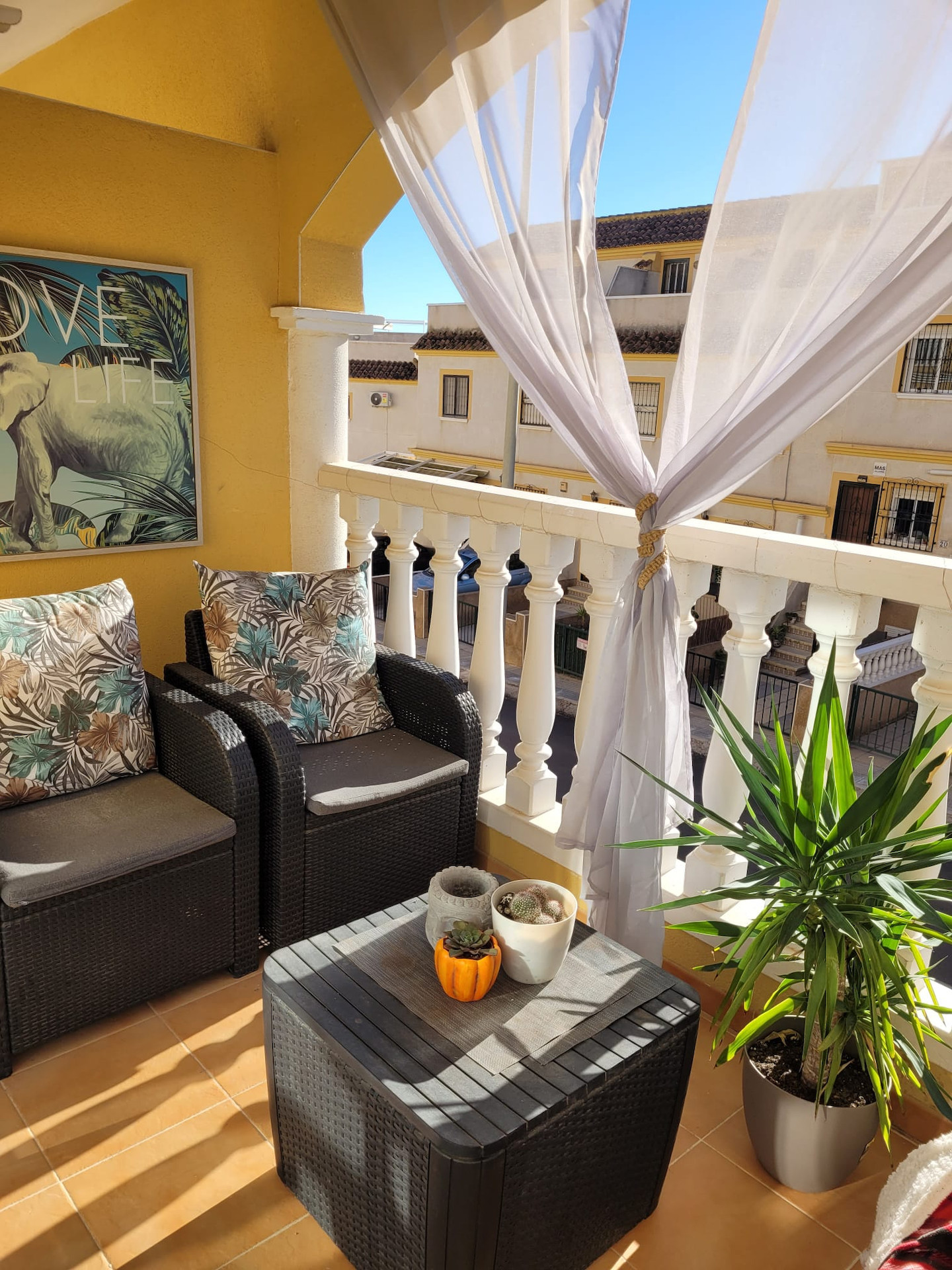 House in Algorfa - Image 5