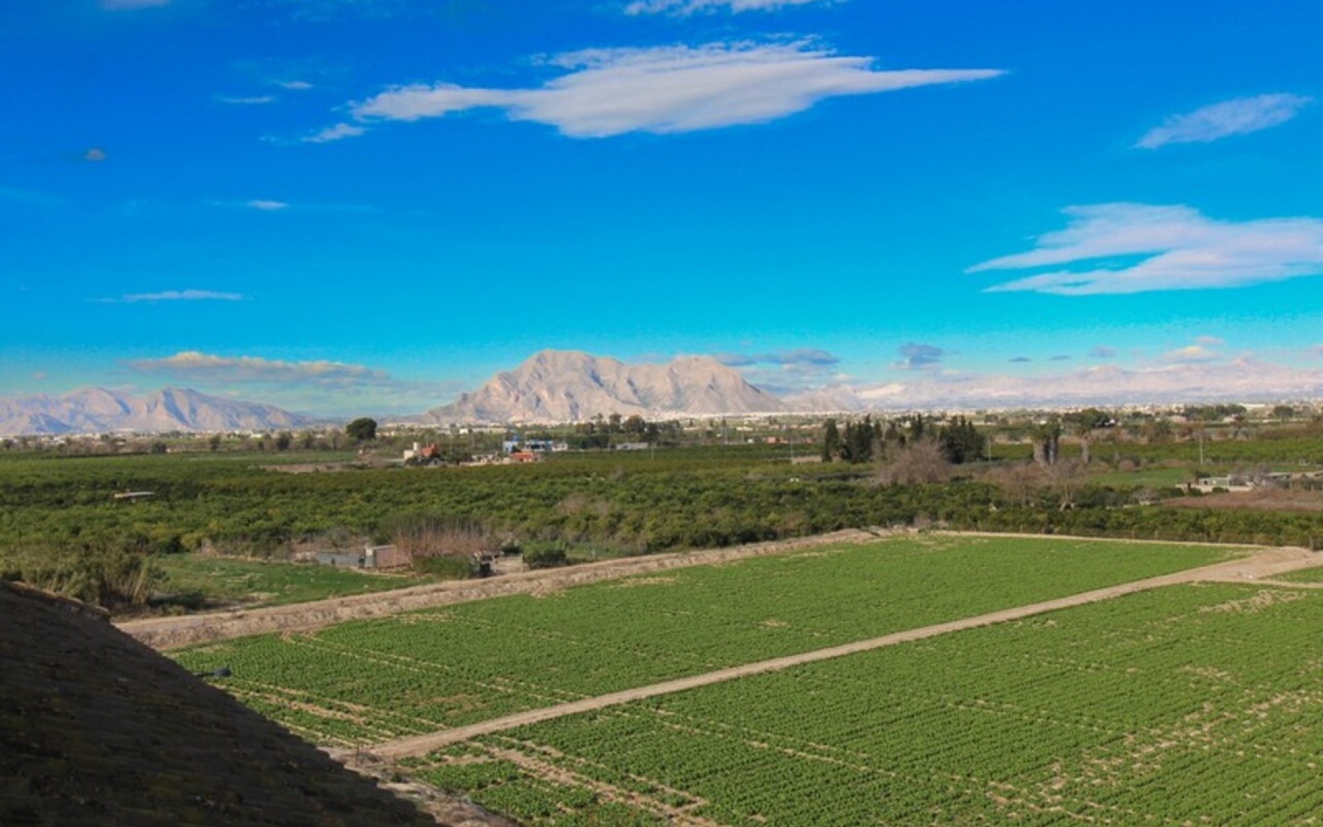 A Vendre - Appartement - Algorfa