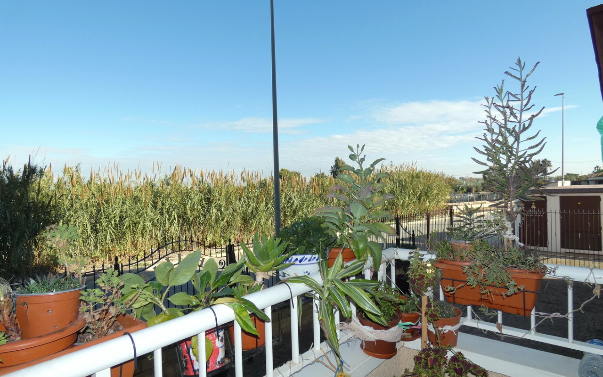 A Vendre - Appartement - Algorfa