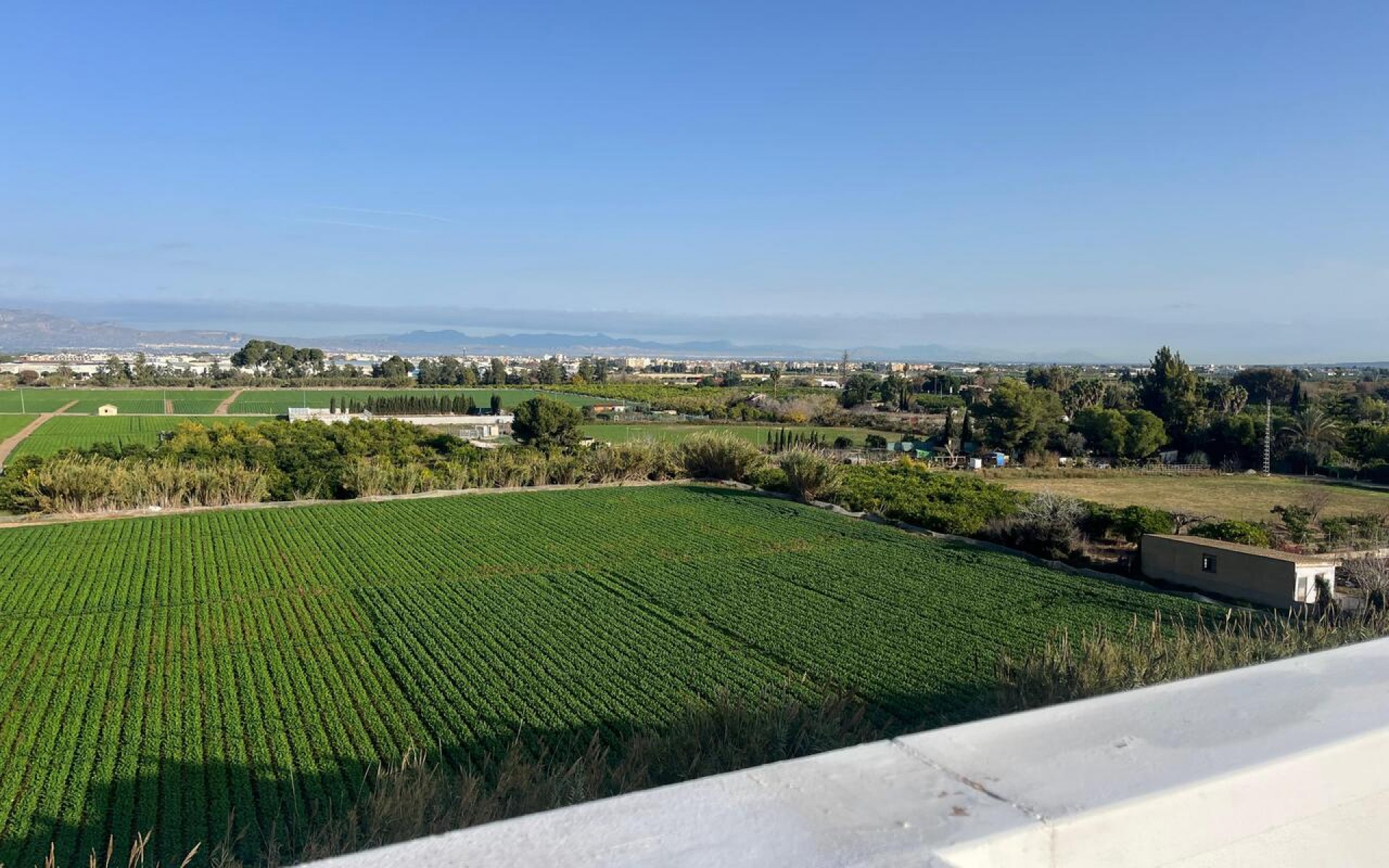 A Vendre - Appartement - Algorfa