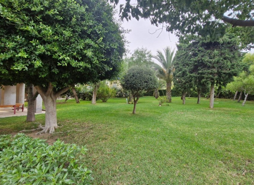 A Vendre - Appartement - Alicante - Alicante Centro