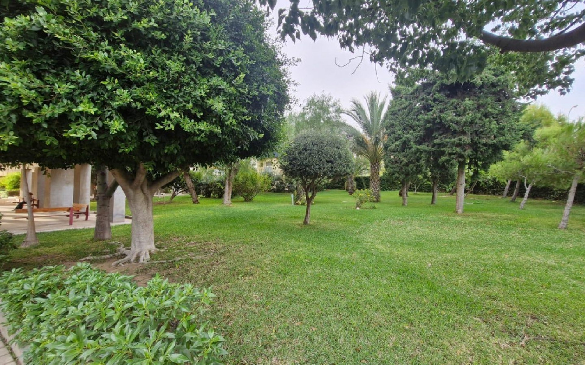 A Vendre - Appartement - Alicante - Alicante Centro