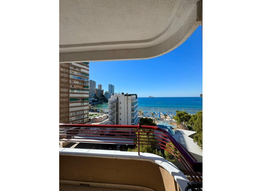 A Vendre - Appartement - Benidorm - Benidorm Centro
