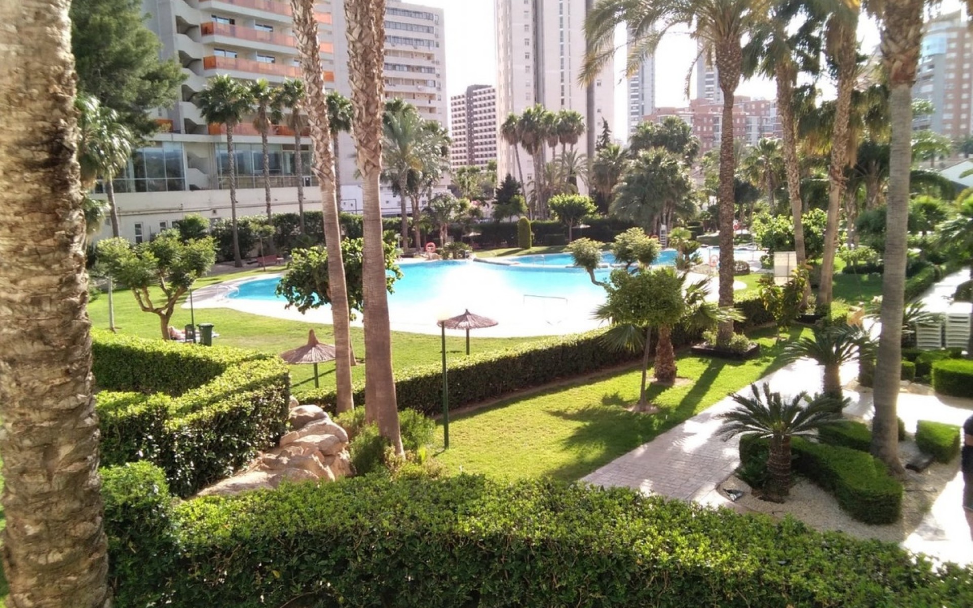 A Vendre - Appartement - Benidorm - Benidorm Centro