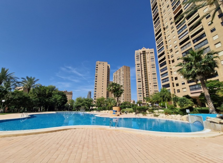 A Vendre - Appartement - Benidorm - Benidorm Centro