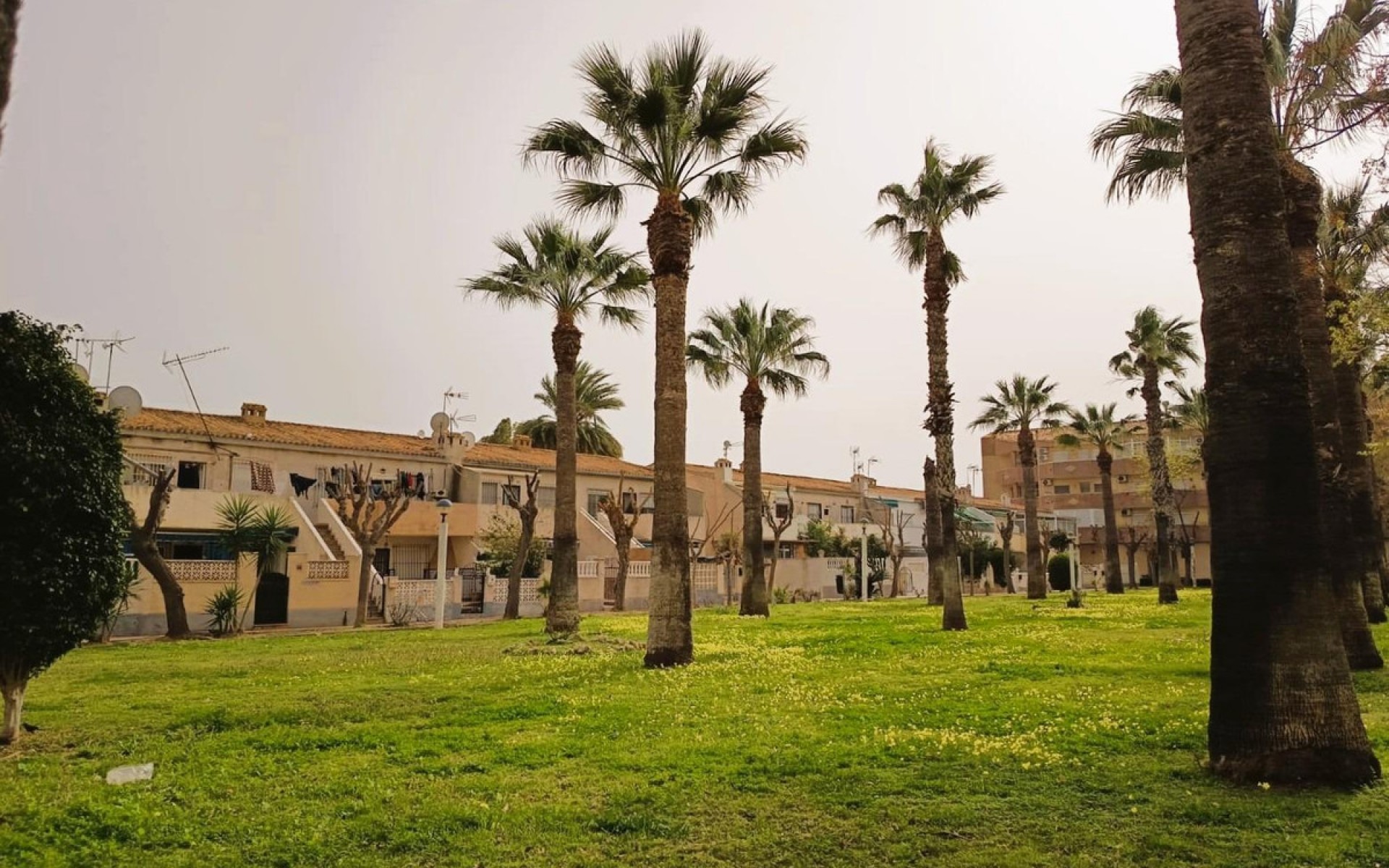 A Vendre - Appartement - Cabo Roig - La Regia