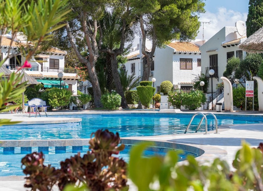 A Vendre - Appartement - Cabo Roig