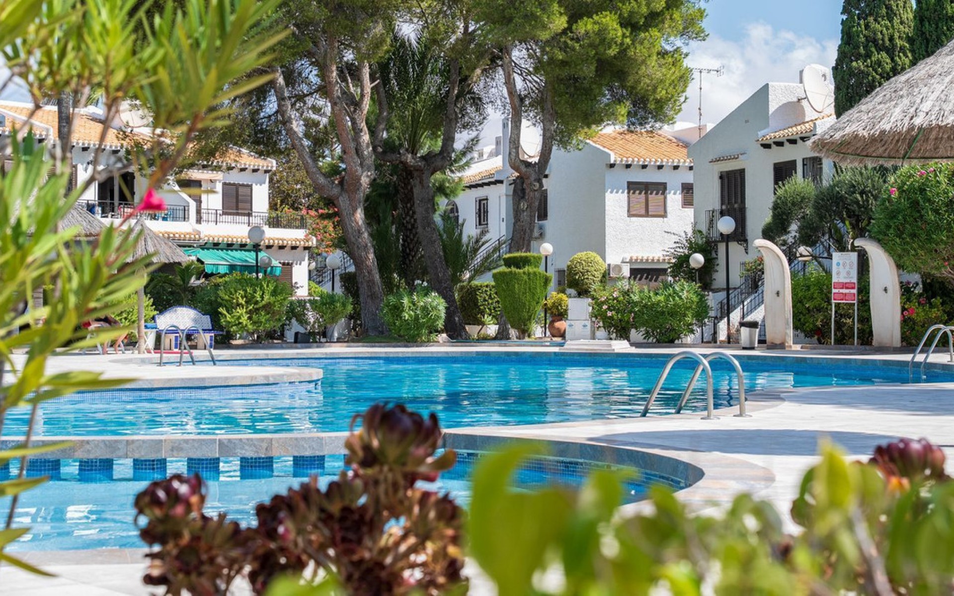 A Vendre - Appartement - Cabo Roig