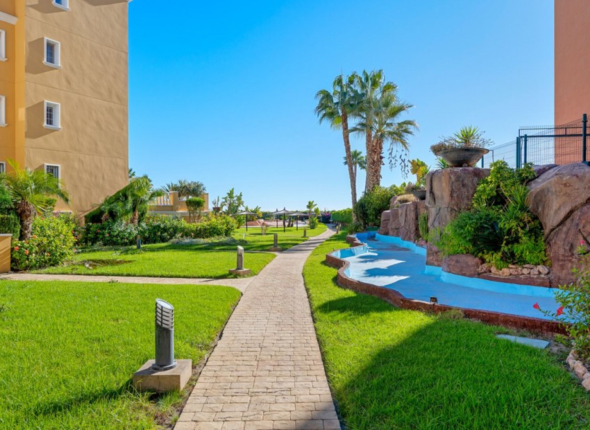 A Vendre - Appartement - Cabo Roig