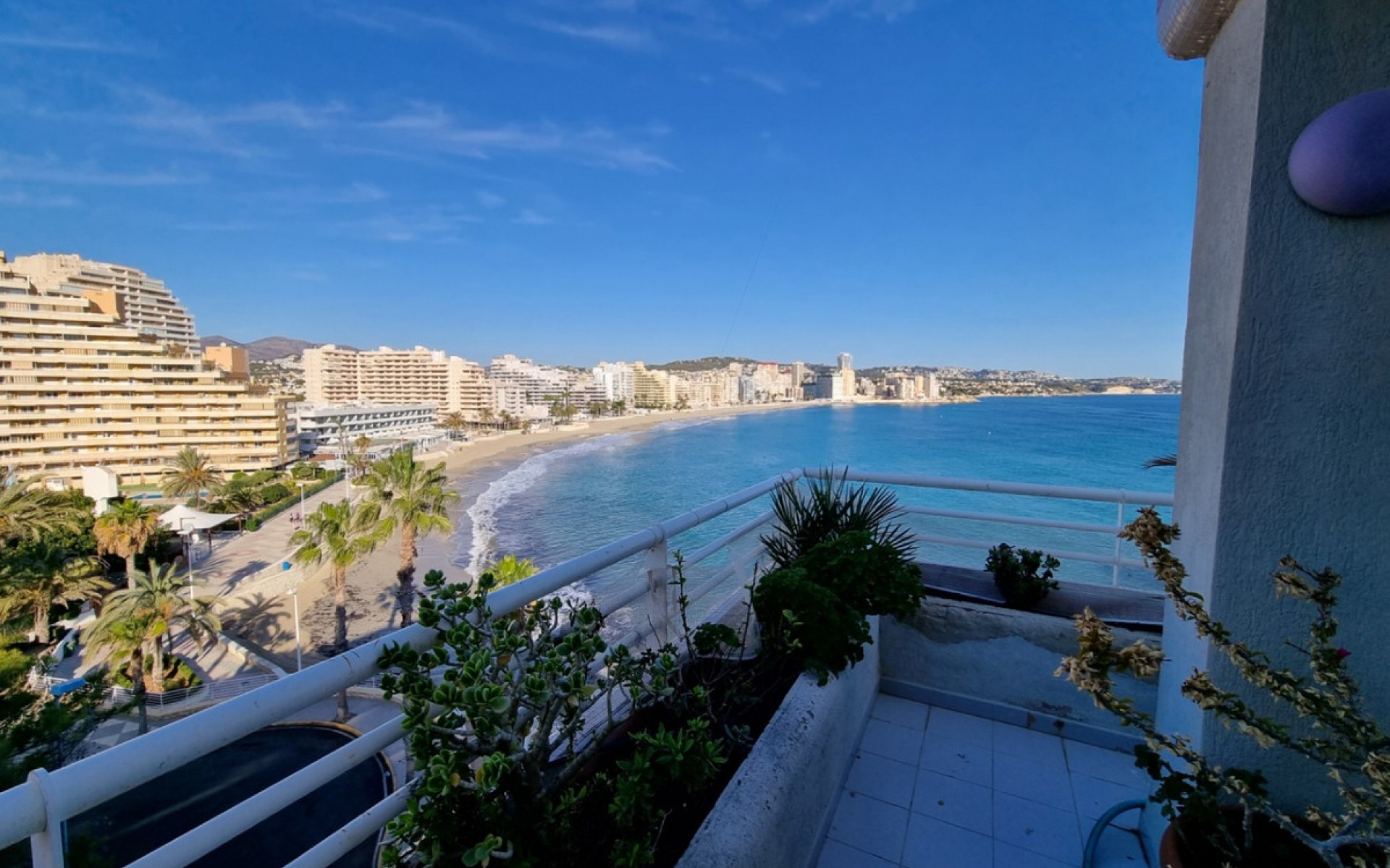 A Vendre - Appartement - Calpe - Calpe Centro