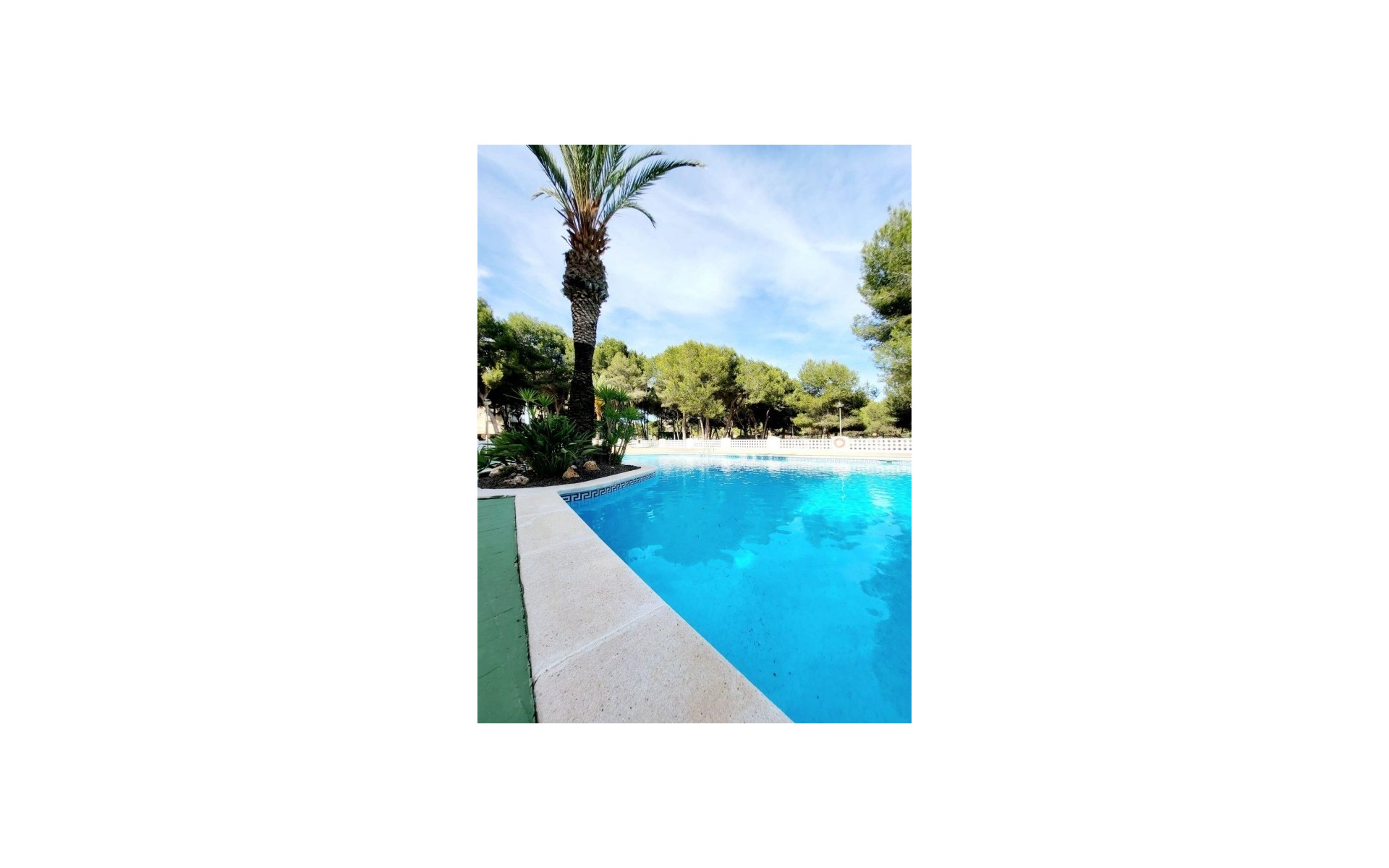 A Vendre - Appartement - Campoamor - Dehesa de Campoamor