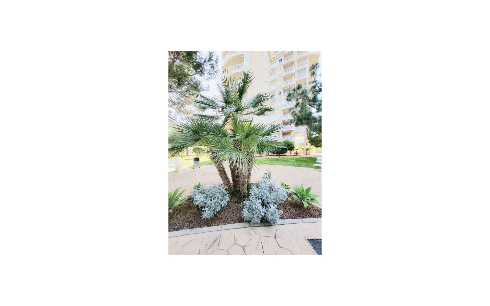 A Vendre - Appartement - Campoamor - Dehesa de Campoamor