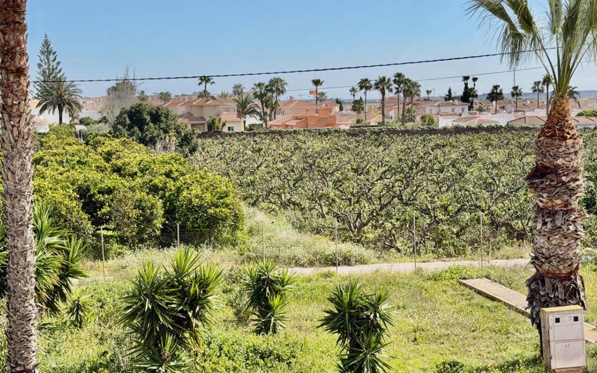 A Vendre - Appartement - Ciudad Quesada