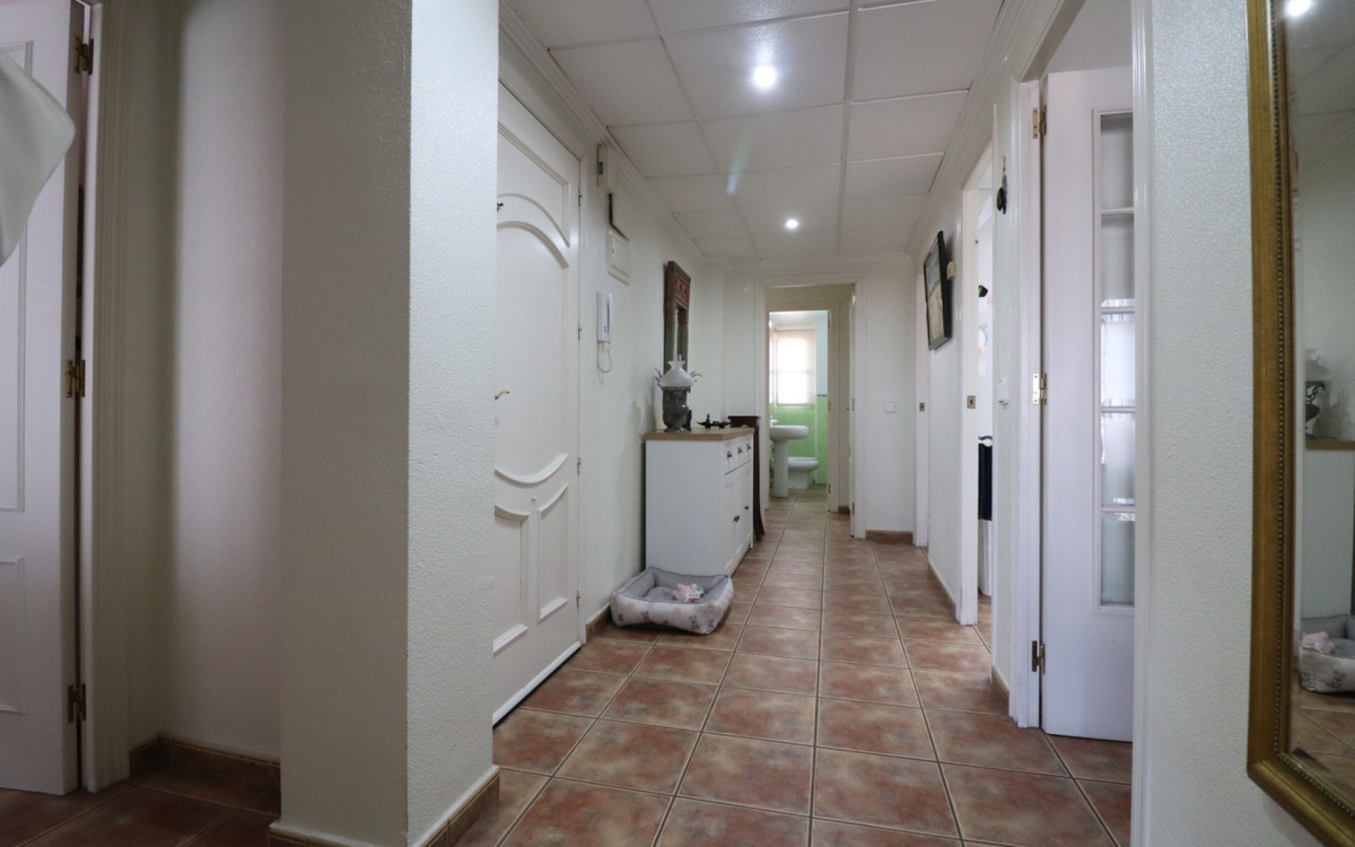 A Vendre - Appartement - Dolores - Dolores Centro
