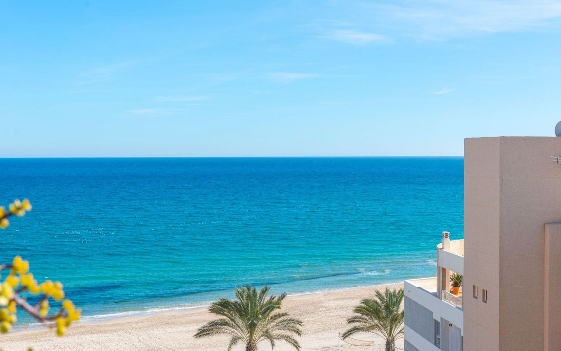 A Vendre - Appartement - El Campello - El Campello 