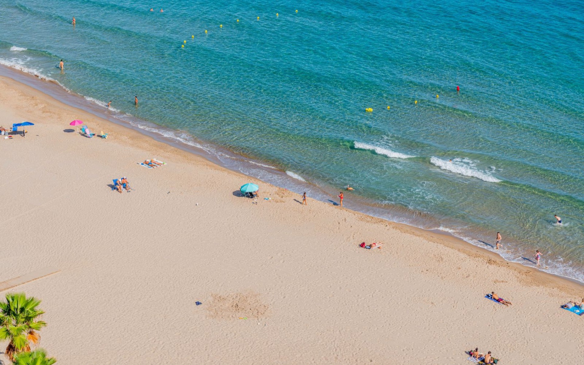 A Vendre - Appartement - El Campello - El Campello 