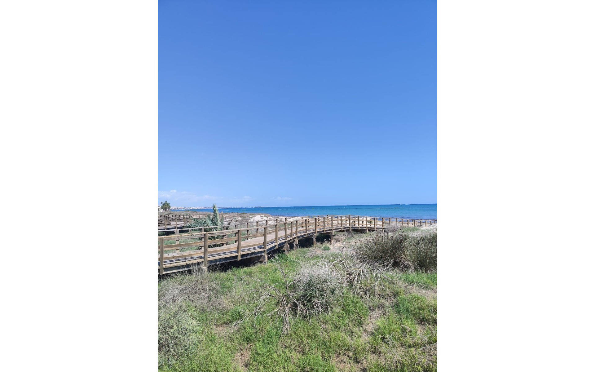 A Vendre - Appartement - El Mojon