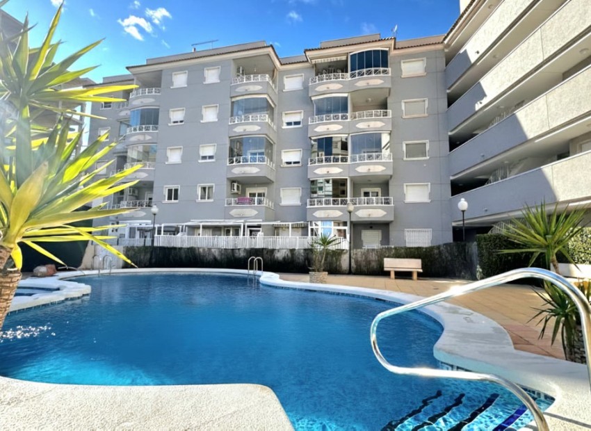 A Vendre - Appartement - Guardamar Del Segura - Guardamar del Segura Centro