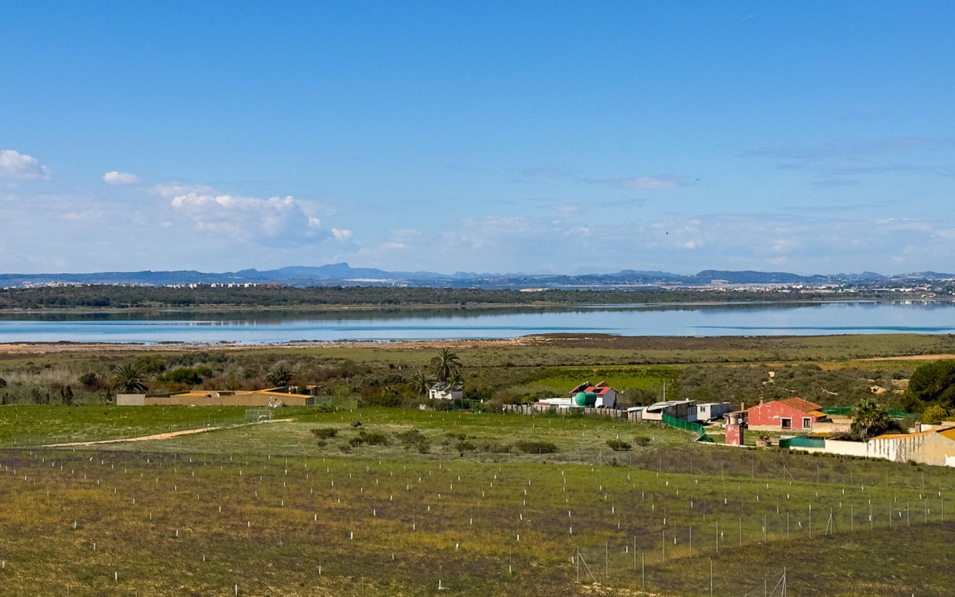 A Vendre - Appartement - Guardamar Del Segura - Guardamar del Segura Centro