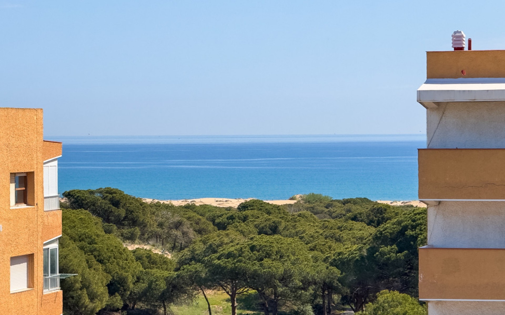 A Vendre - Appartement - Guardamar Del Segura - Guardamar del Segura Centro