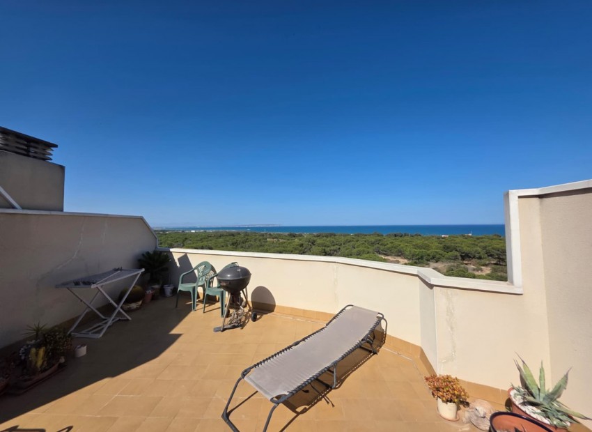 A Vendre - Appartement - Guardamar Del Segura - Guardamar del Segura Centro