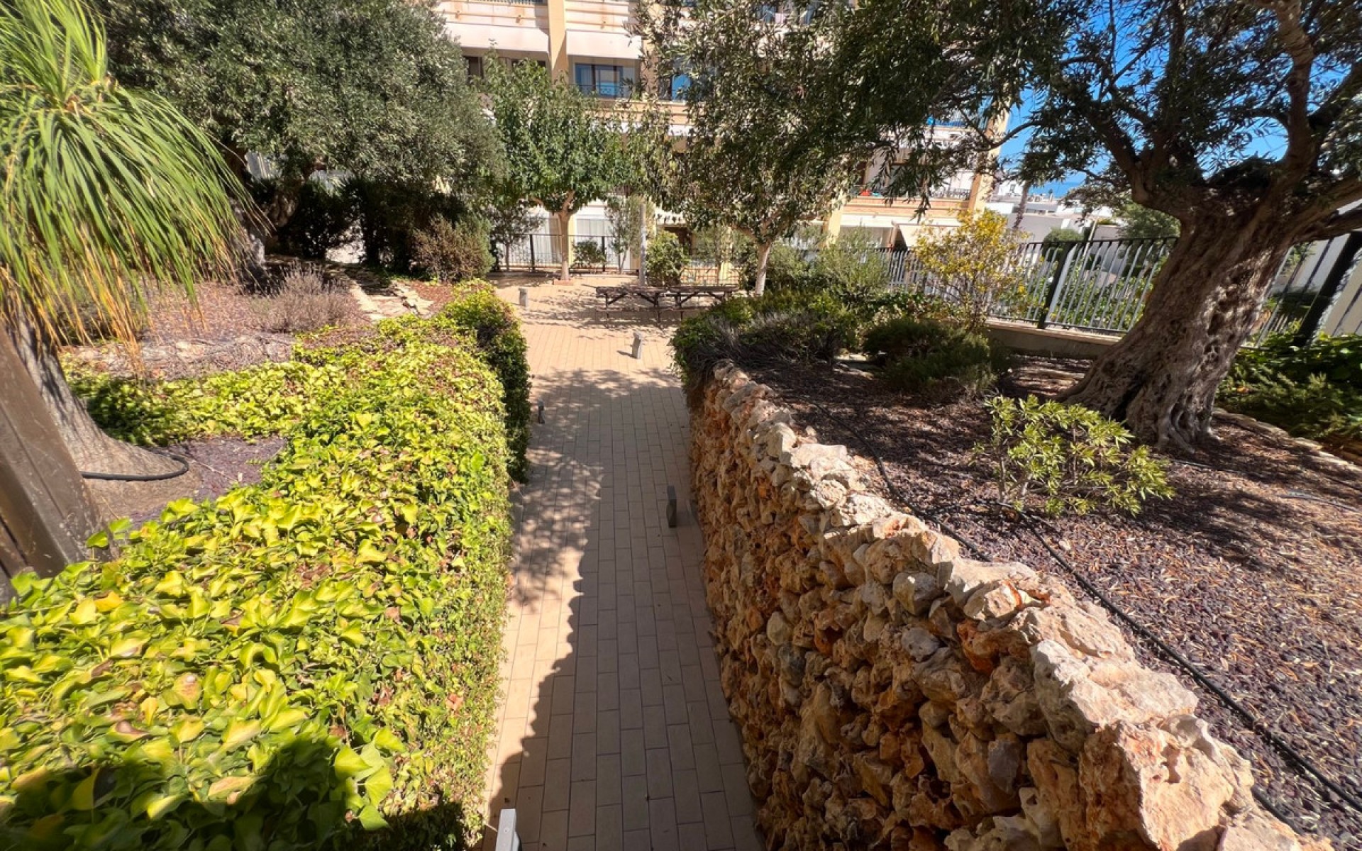 A Vendre - Appartement - Guardamar Del Segura - Guardamar del Segura Centro
