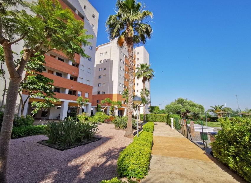 A Vendre - Appartement - Guardamar Del Segura - Guardamar del Segura