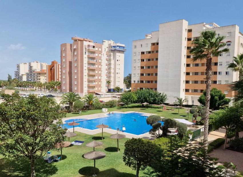A Vendre - Appartement - Guardamar Del Segura - Puerto