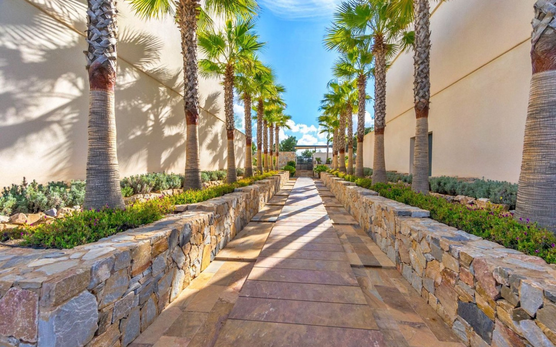 A Vendre - Appartement - Las Colinas - Las Colinas Golf Resort