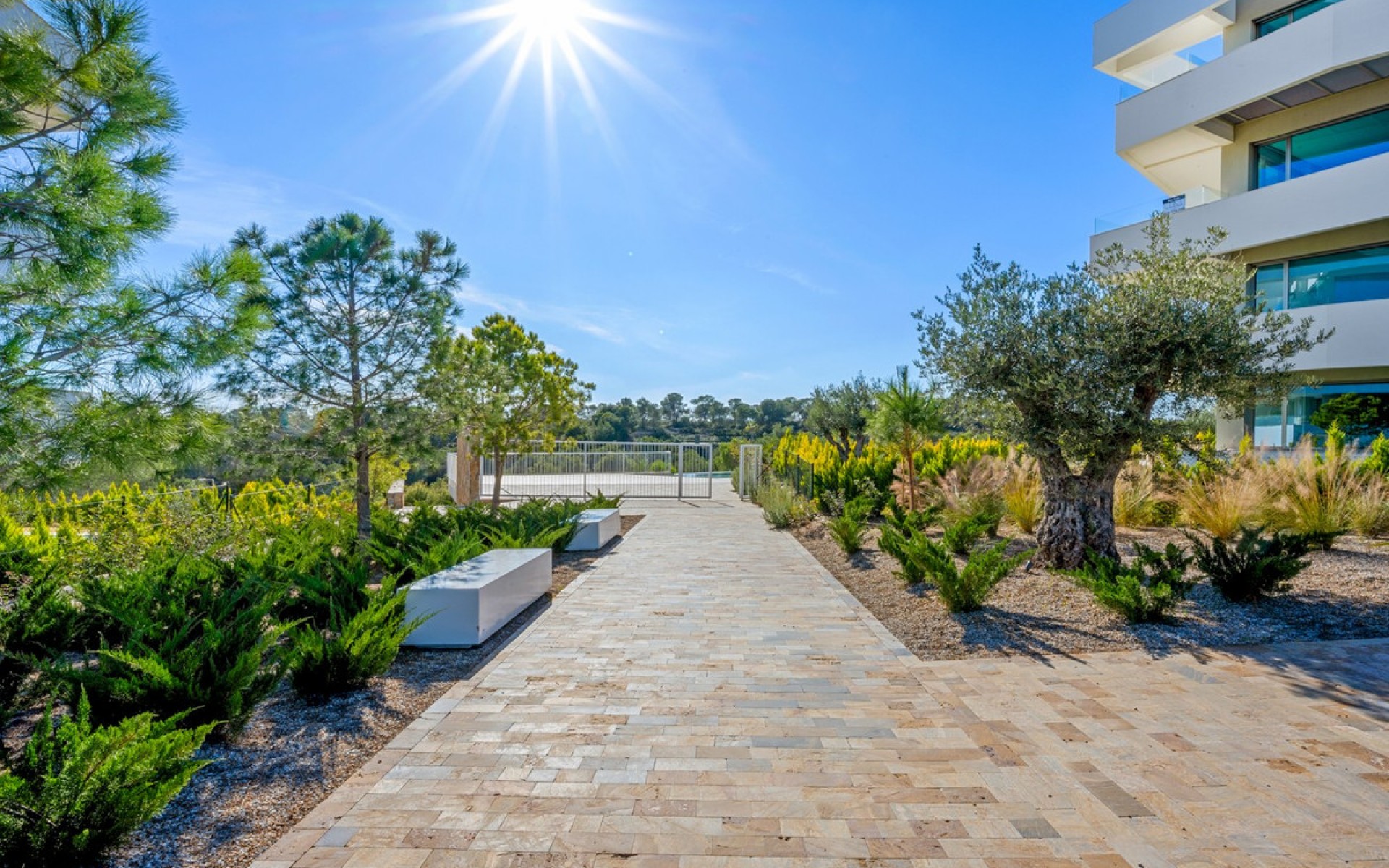 A Vendre - Appartement - Las Colinas - Las Colinas Golf Resort
