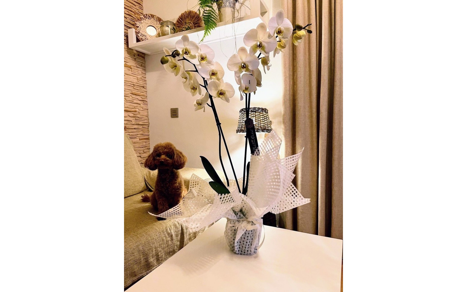 A Vendre - Appartement - Los Alcazares - Los Alcazares Centro