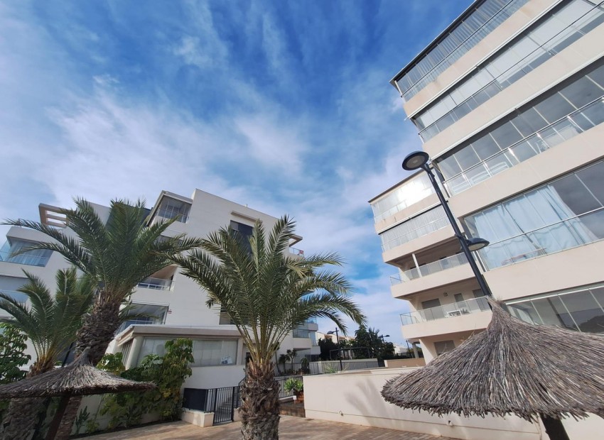 A Vendre - Appartement - Los Dolses