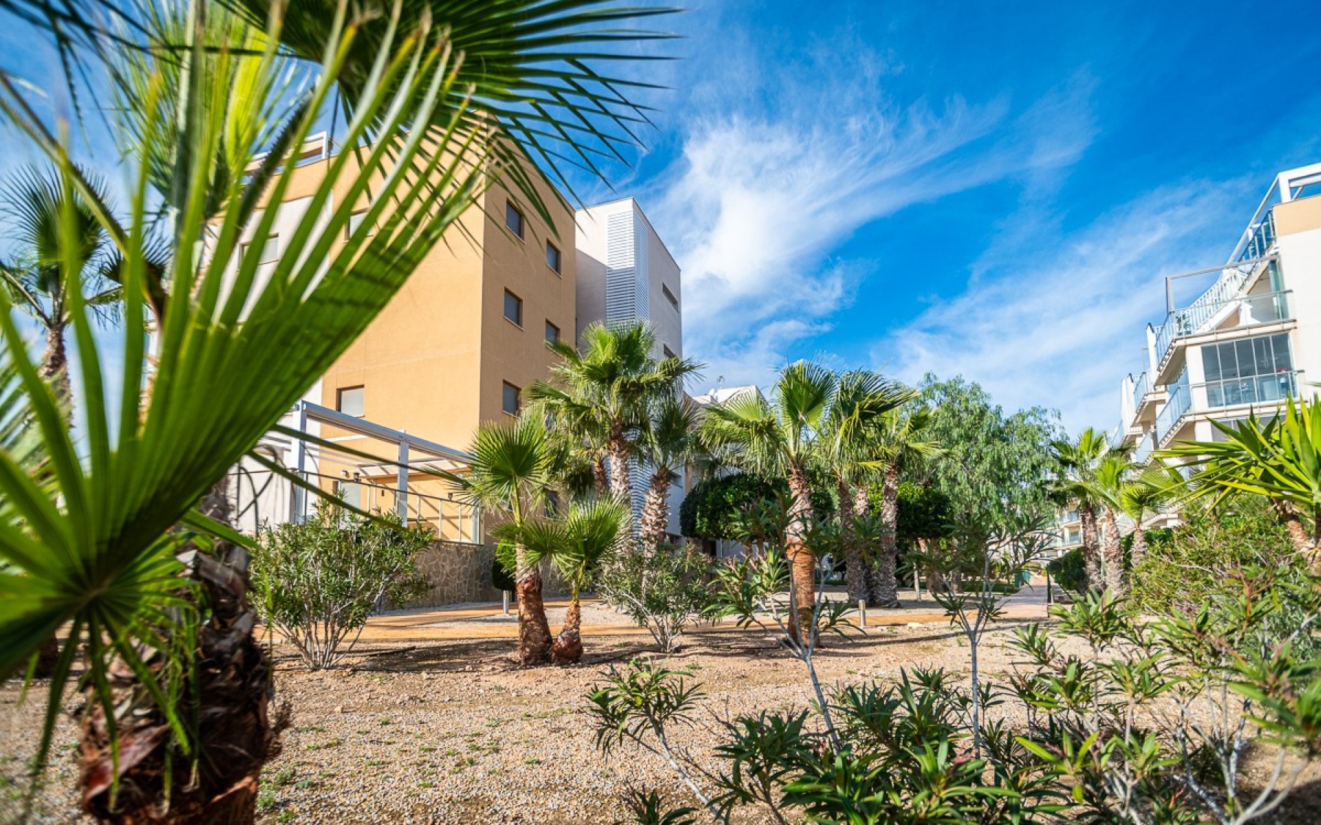 A Vendre - Appartement - Los Dolses