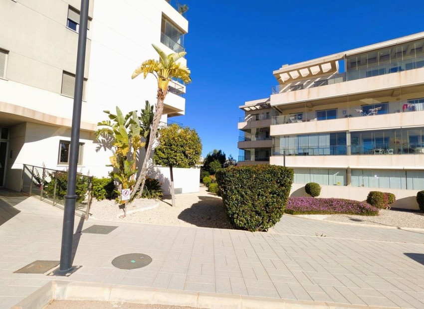 A Vendre - Appartement - Los Dolses