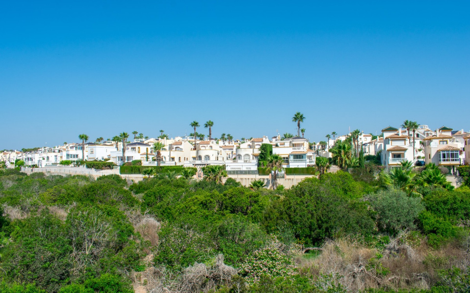 A Vendre - Appartement - Los Dolses