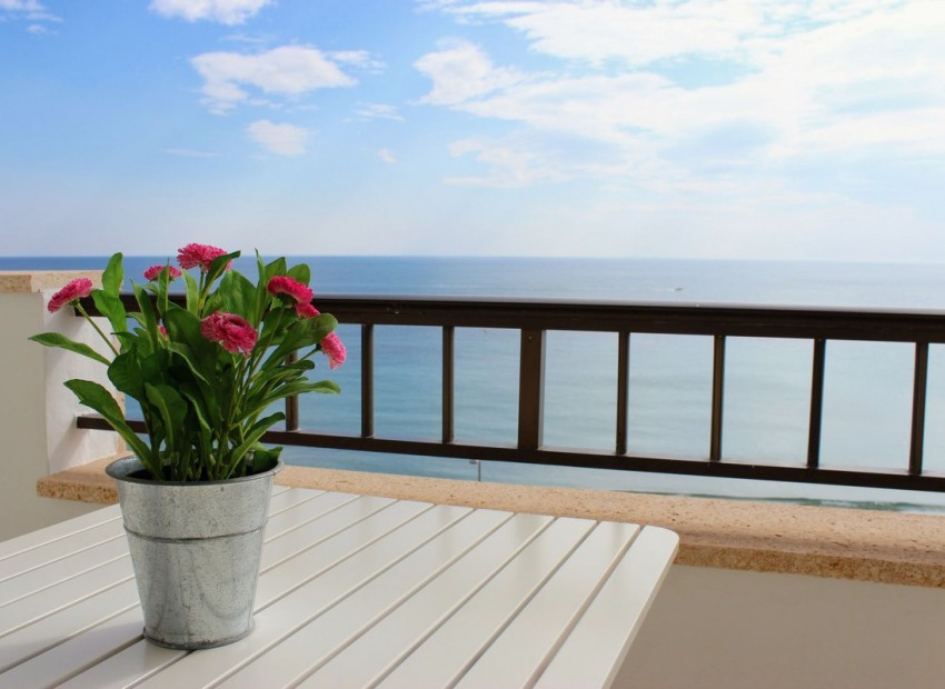 A Vendre - Appartement - Mil Palmeras