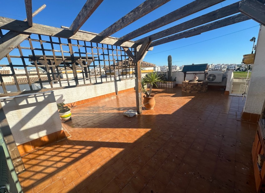 A Vendre - Appartement - Orihuela - Entre Naranjos