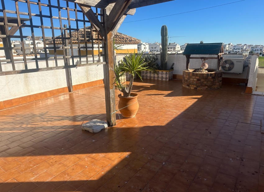 A Vendre - Appartement - Orihuela - Entre Naranjos