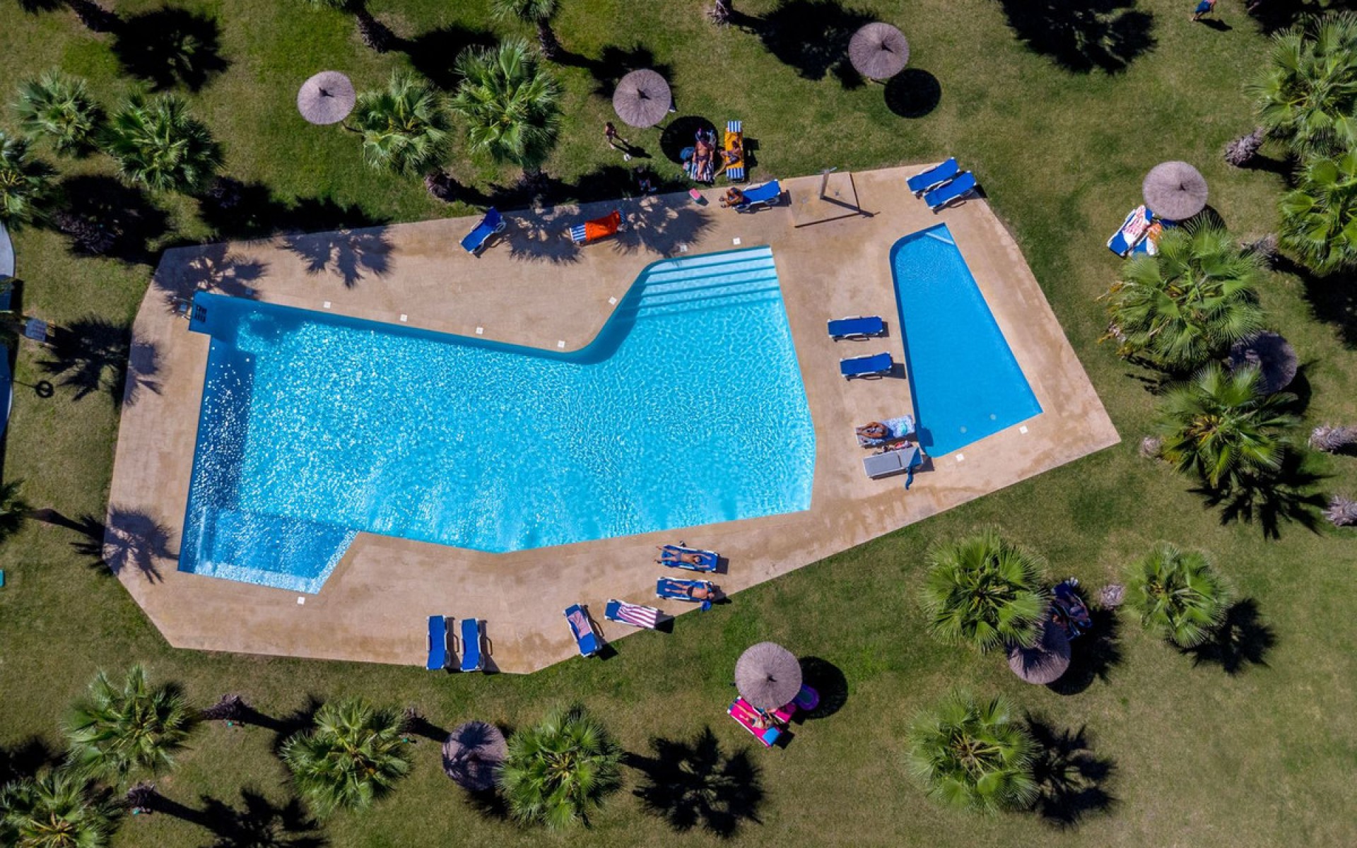 A Vendre - Appartement - Orihuela - Los Altos