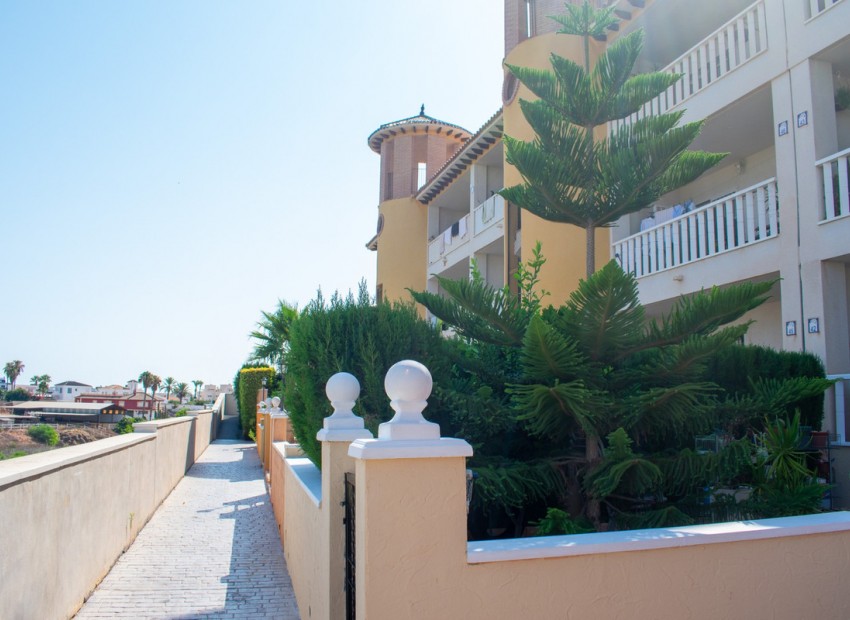 A Vendre - Appartement - Orihuela - Los Dolses