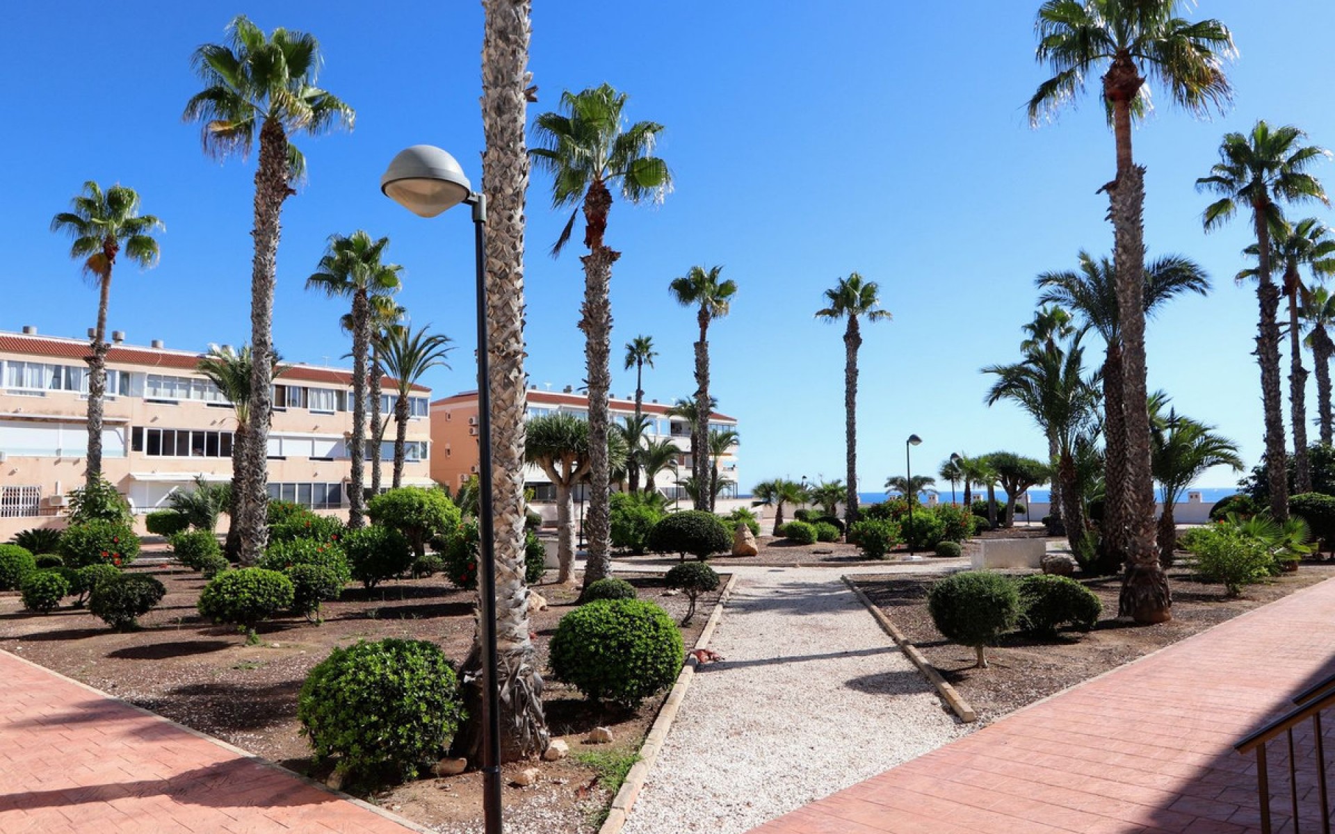 A Vendre - Appartement - Orihuela - Mil Palmeras