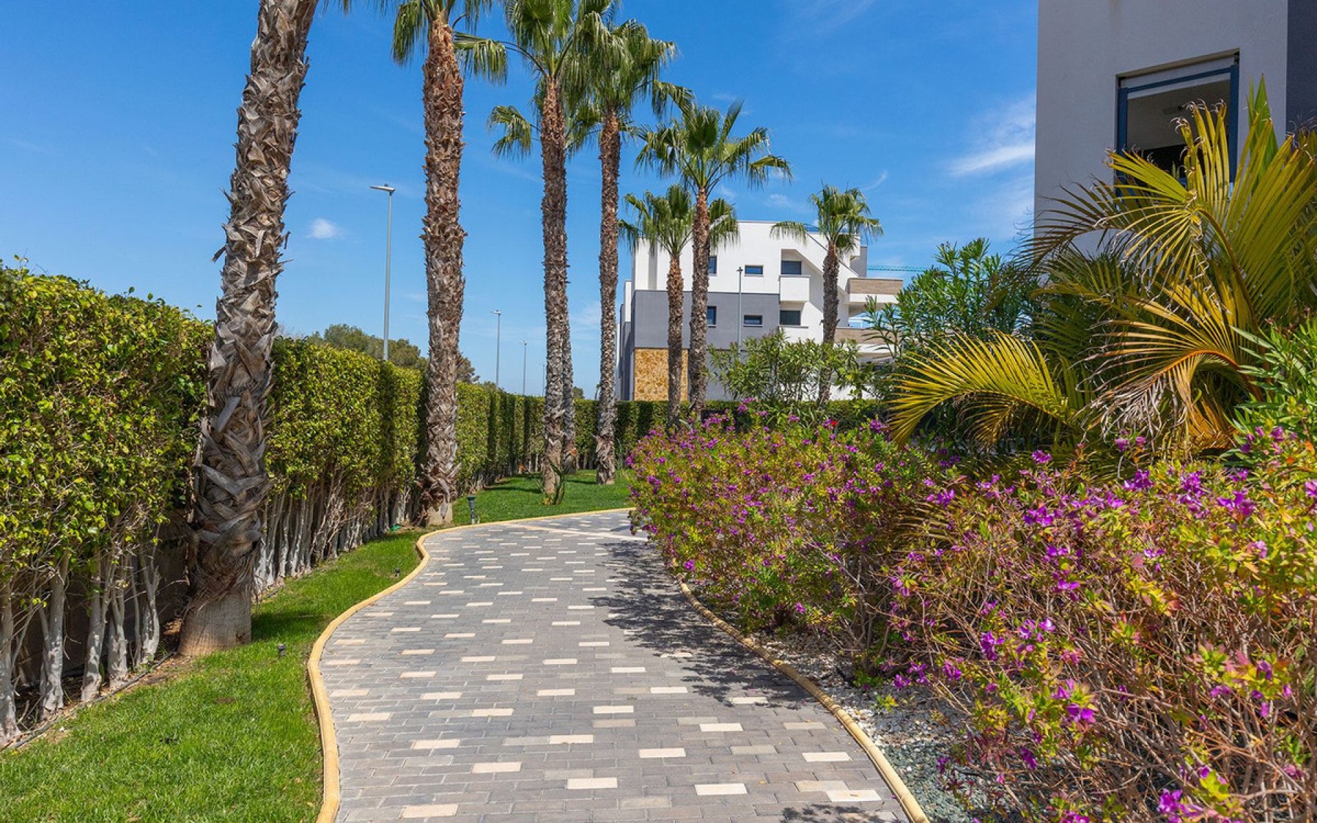 A Vendre - Appartement - Orihuela - Orihuela Costa