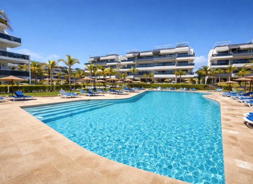 A Vendre - Appartement - Orihuela - Playa Flamenca