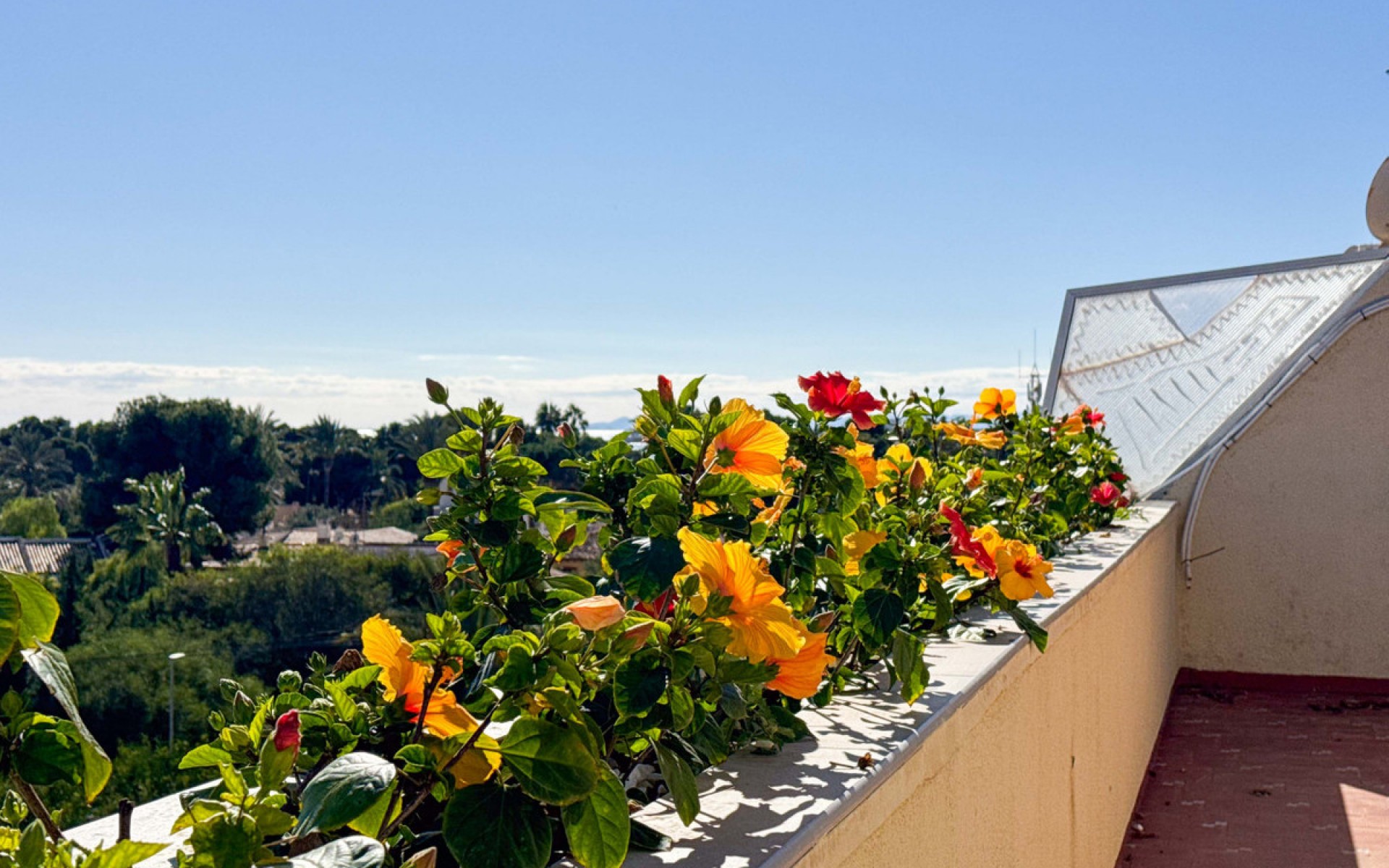 A Vendre - Appartement - Orihuela - Punta Prima