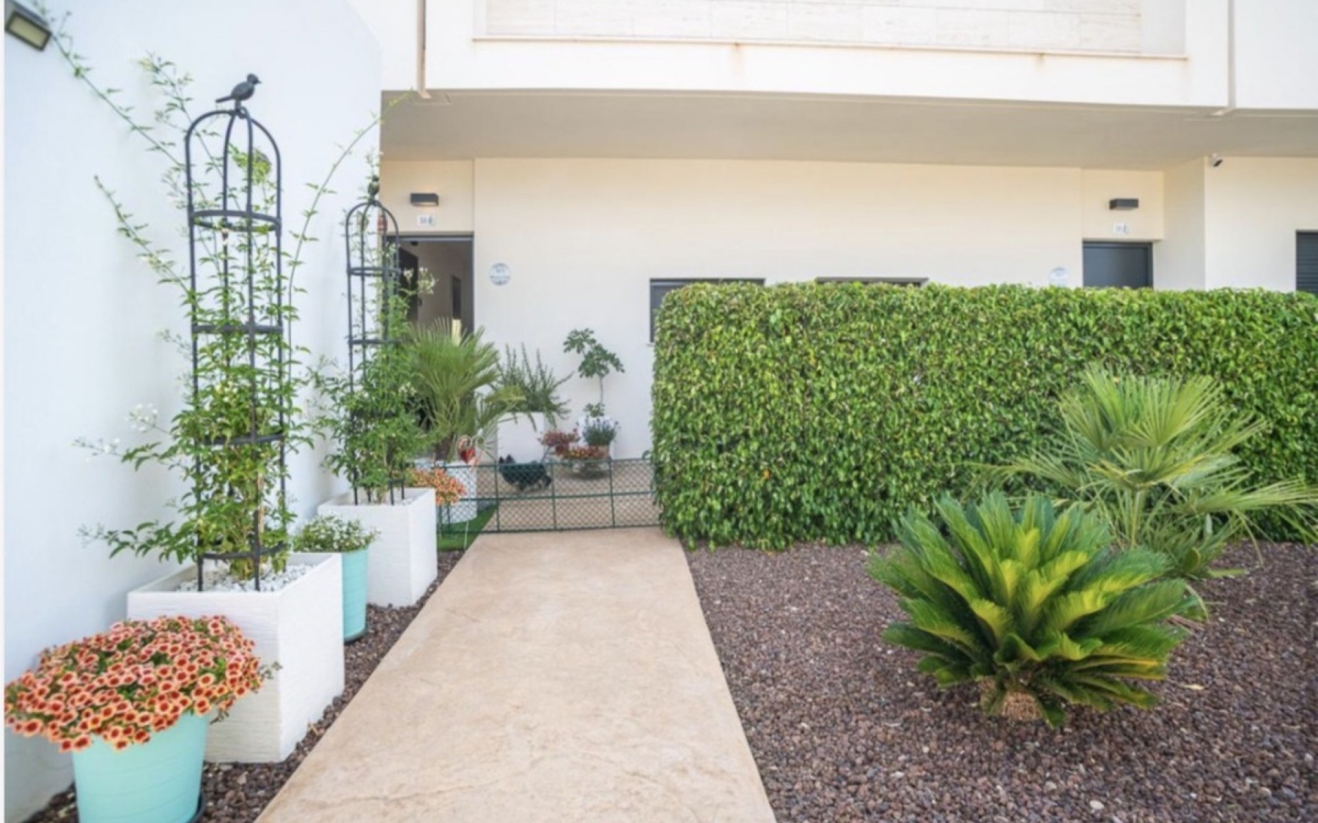 A Vendre - Appartement - Pilar de la Horadada - Pilar de la Horadada Centro